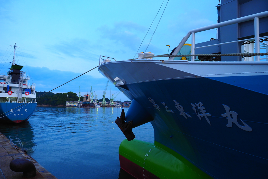 第三東洋丸越しの風景