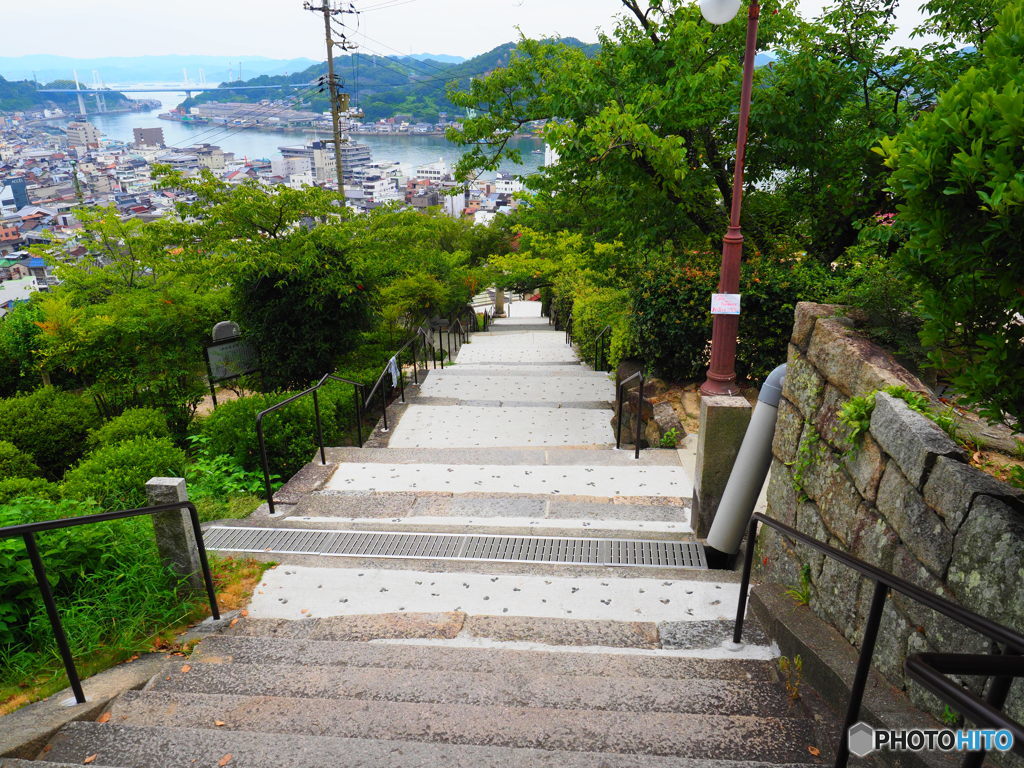 参道の夏