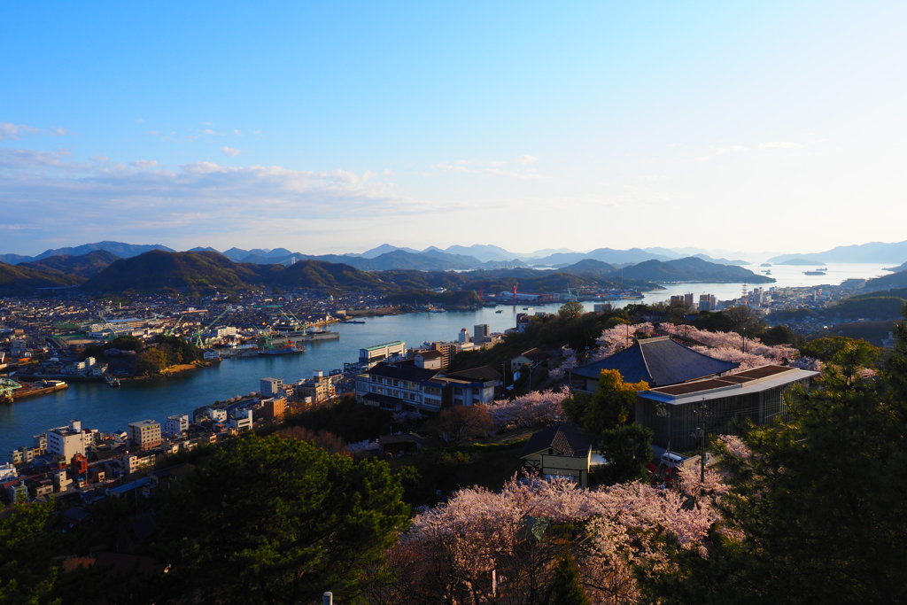 多島美に桜を添えて