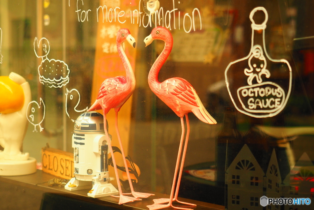 flamingo bar