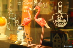 flamingo bar