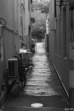 雨に濡れた路地