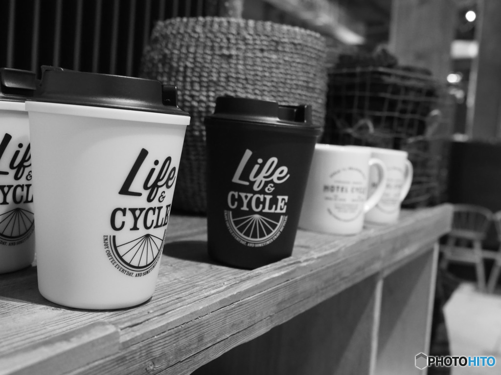 Life & cycle