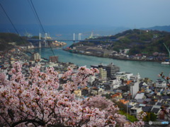 海道の春