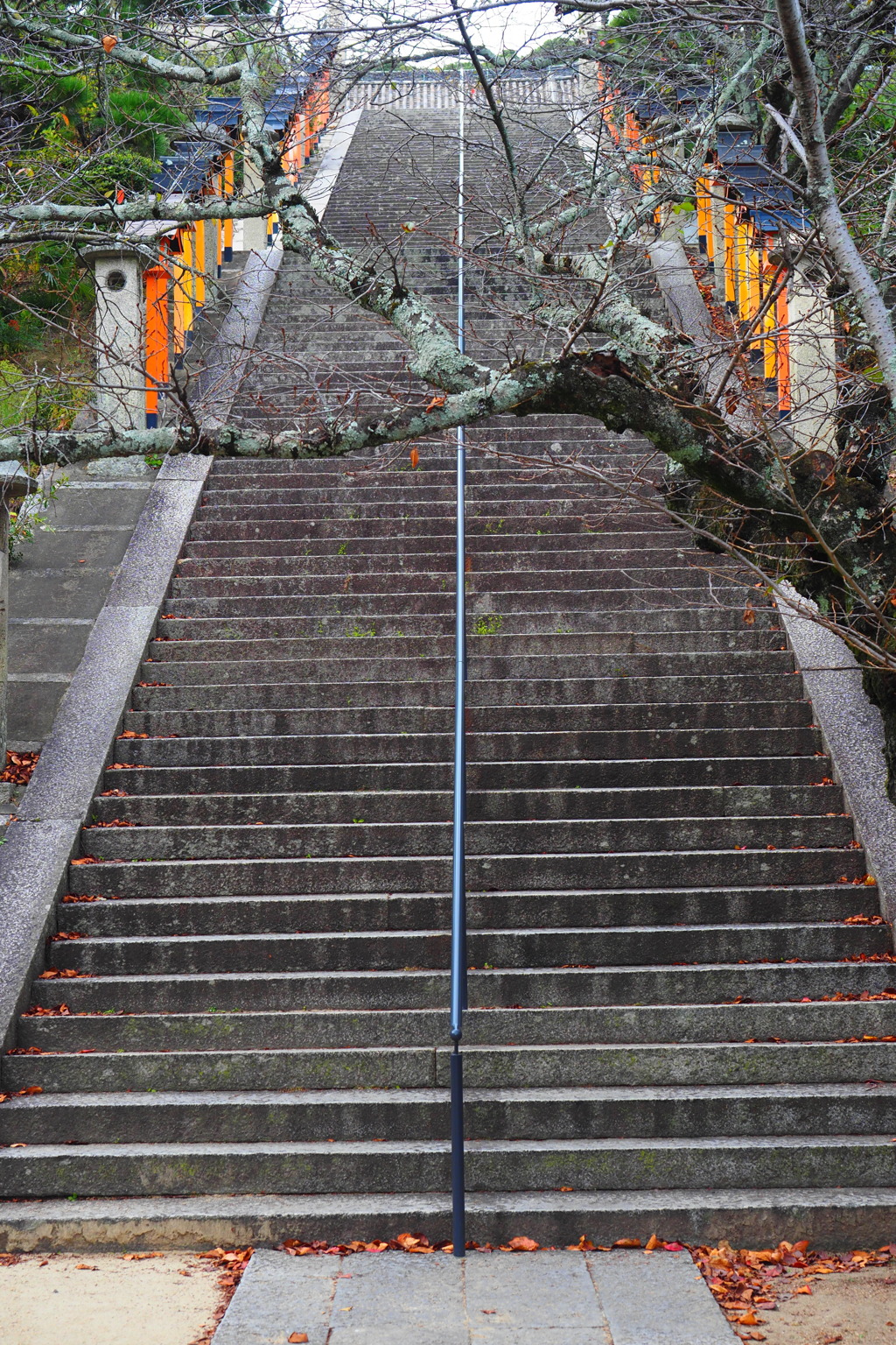 晩秋の階段