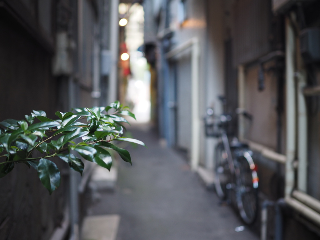 とある路地にて