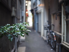 とある路地にて