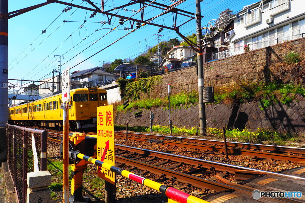 蜜柑色の電車が走る風景