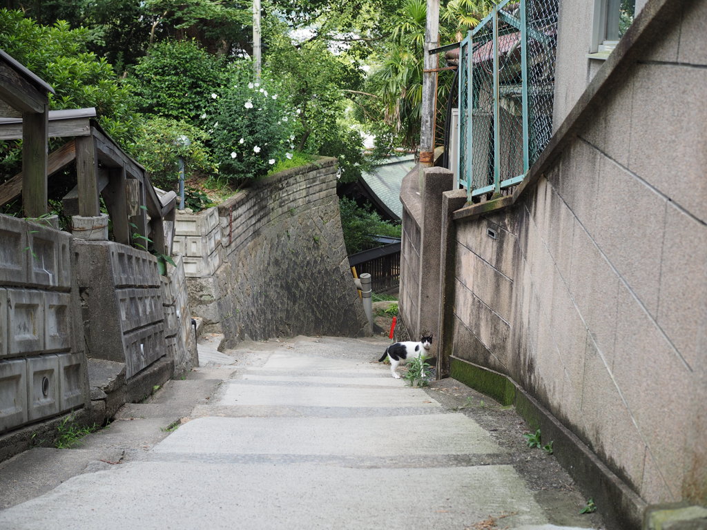 呼んだ？