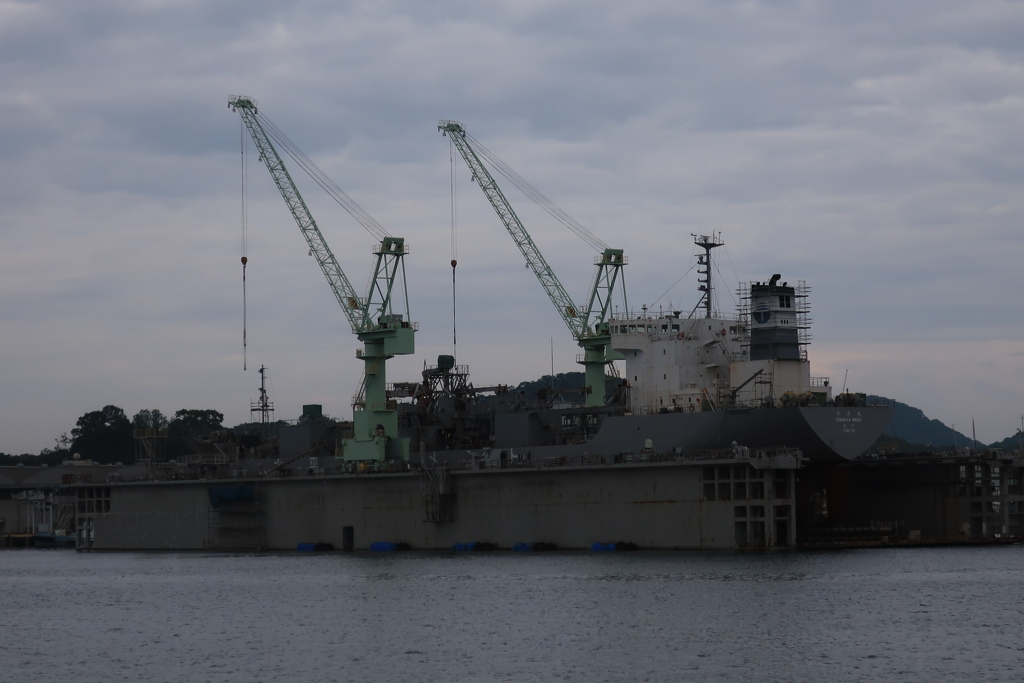 in the floating dock