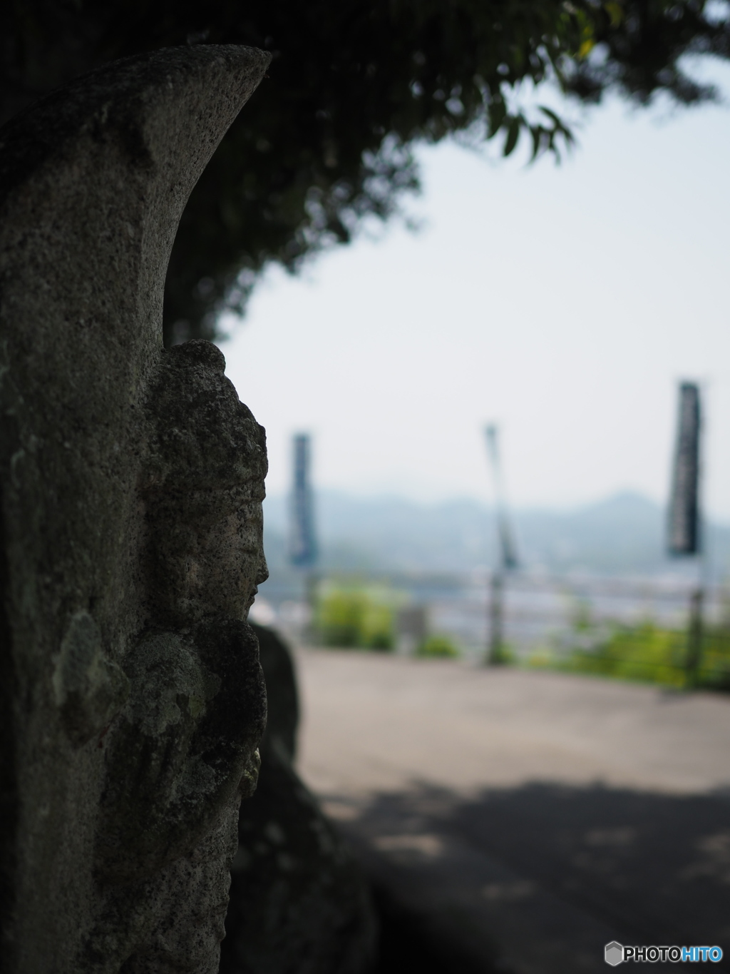 木陰にて