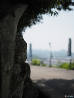 木陰にて