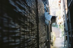 路地に臨む