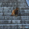 裏シャッターチャンス(笑)