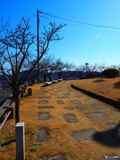 心地よいカーブ