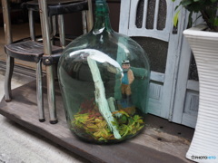 a captain in a bottle