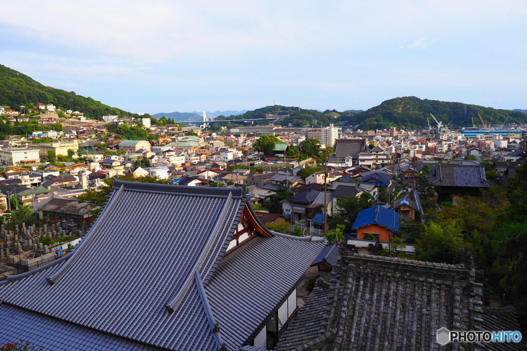 大屋根越しの景色