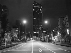 マッカーサー道路にて　その１