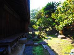 古寺の裏庭