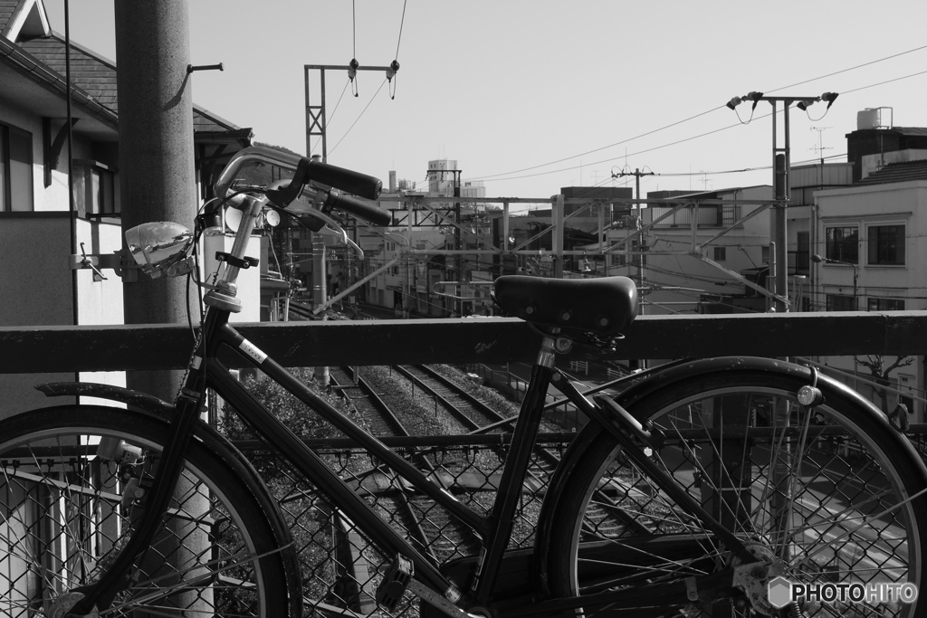 bicycle越し