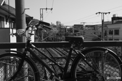 bicycle越し