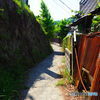 錆びたトタン板の路地