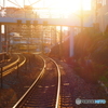 夕日に輝く鉄路