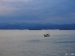 海での営み