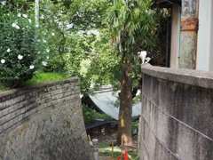 呼んだ？　その２