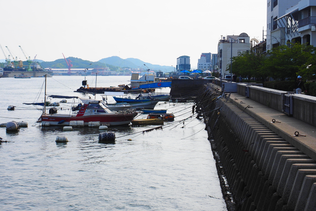 漁港の夕景