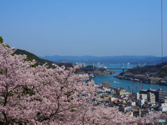 海道の春