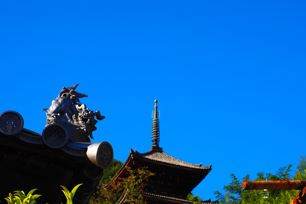 ひとひらの雲…無し