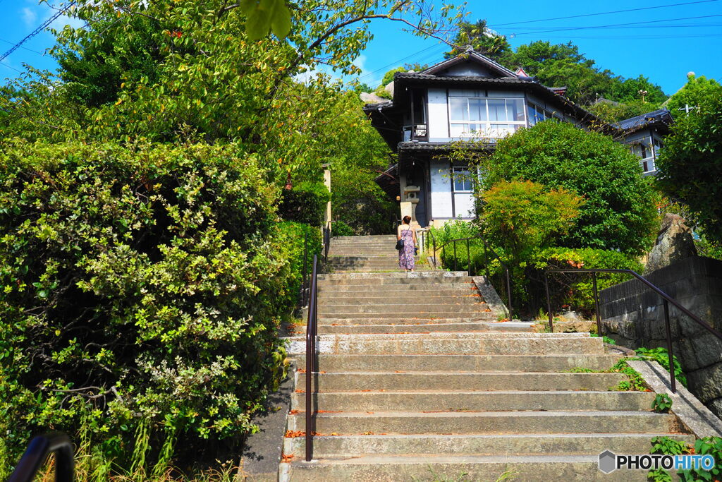 夏の日の風景