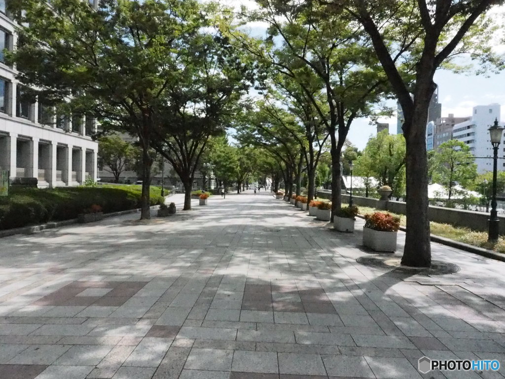 心地よい遊歩道