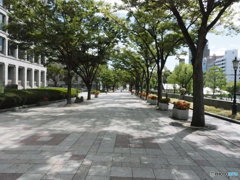 心地よい遊歩道