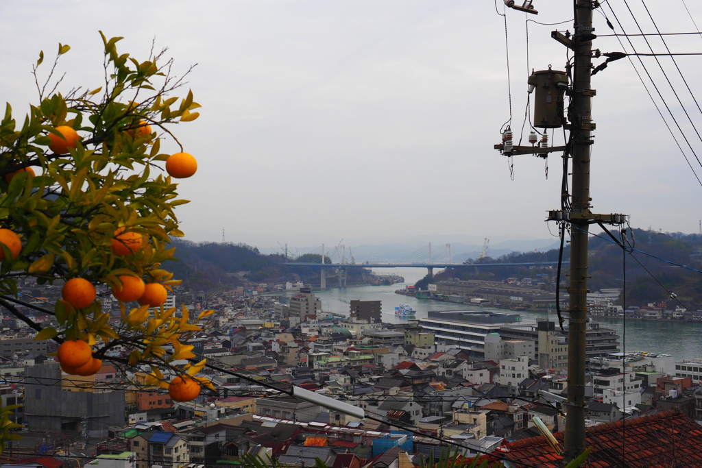 水道の冬景色