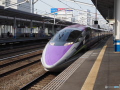 遭遇