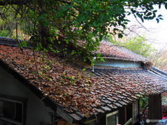 堆積