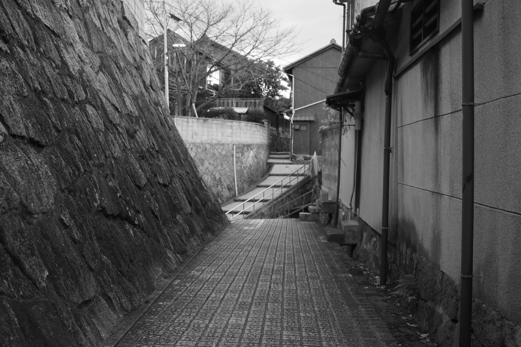 迷い込んだら…