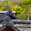 大棟