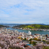 海道の春