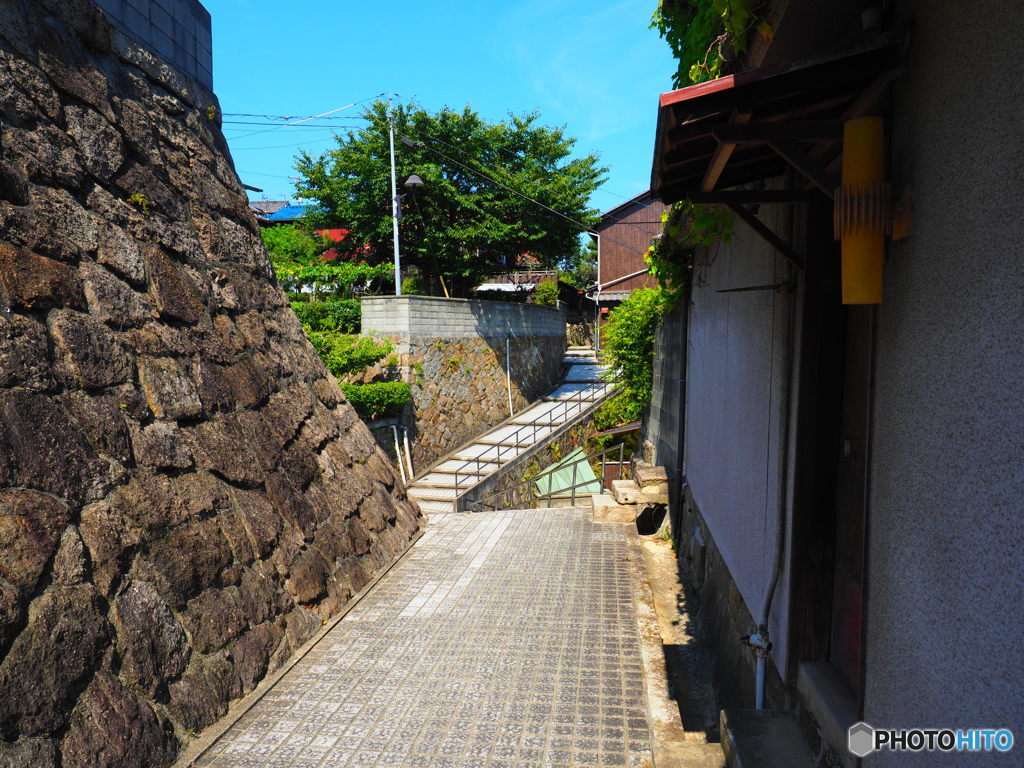 蝉しぐれ響く路地で