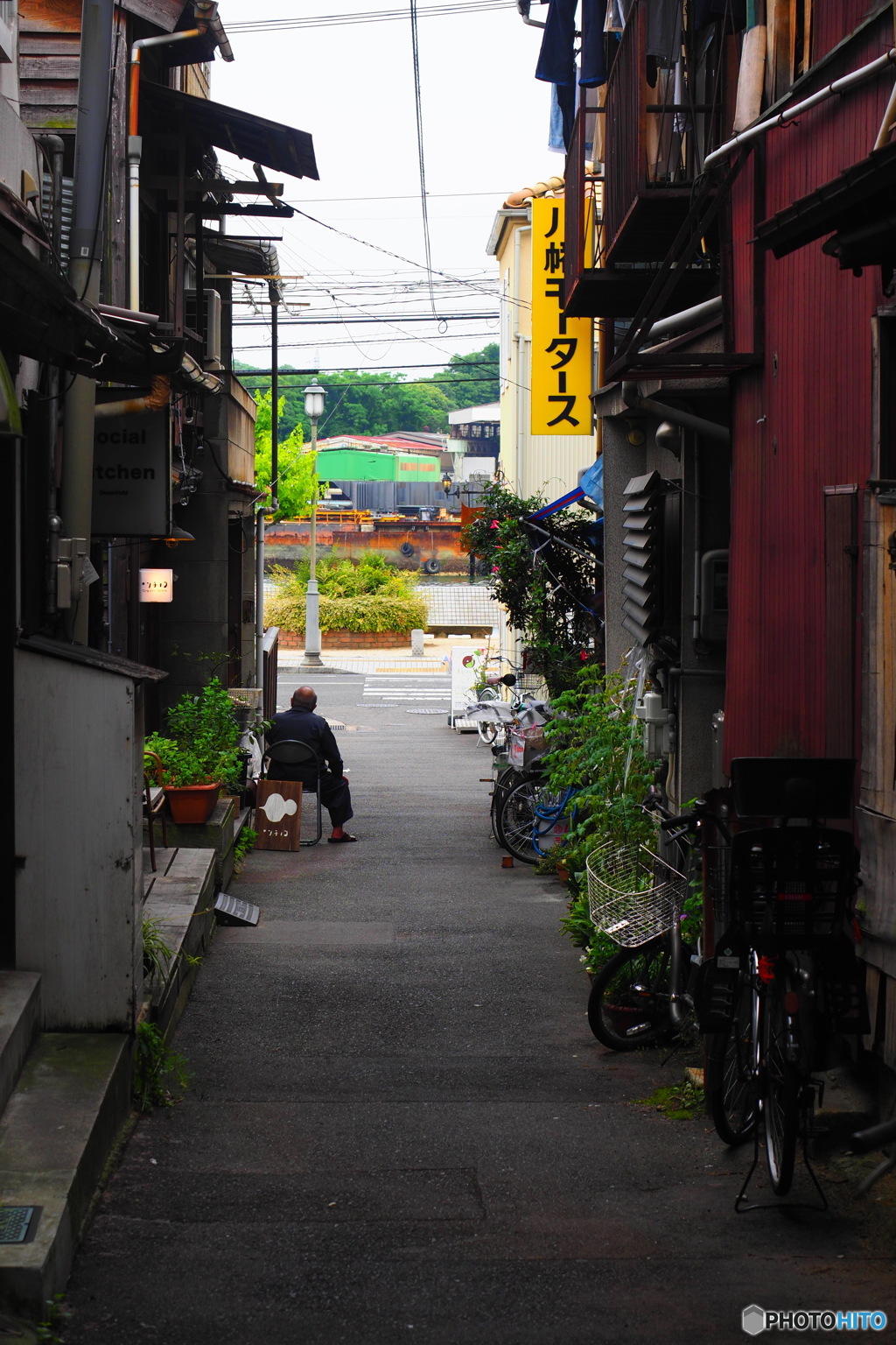 路地の主