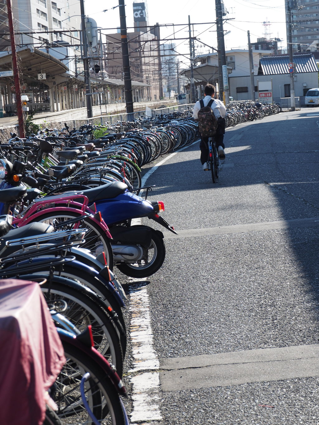 通学路の日常