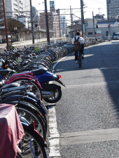 通学路の日常
