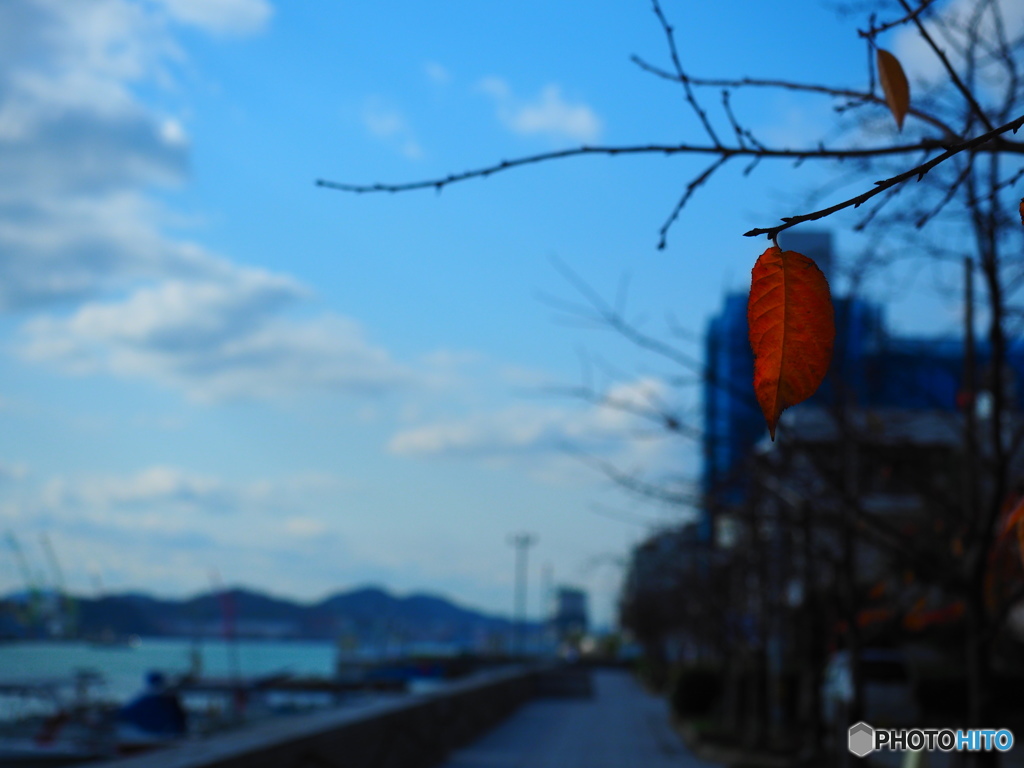 西高東低…冬ですねぇ
