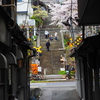 往く春を惜しみつつ
