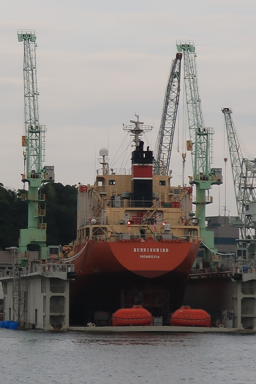 in the floating dock