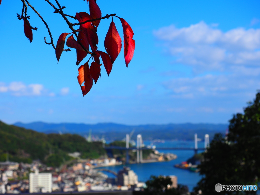 海道にも秋