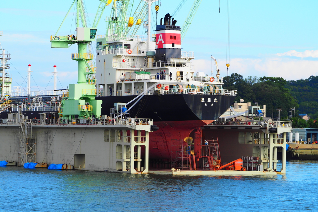 in the floating dock